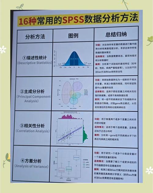 统计指标培训讲义：全面解析常见统计指标，掌握计算方法与应用场景