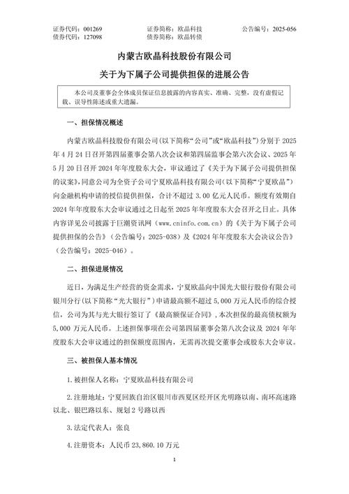 晶科科技（601778）：关于公司及其下属公司担保情况的公告
