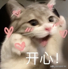 新加坡汇款回国汇率_新加坡元人民币汇率走势_新元兑人民币汇率上升