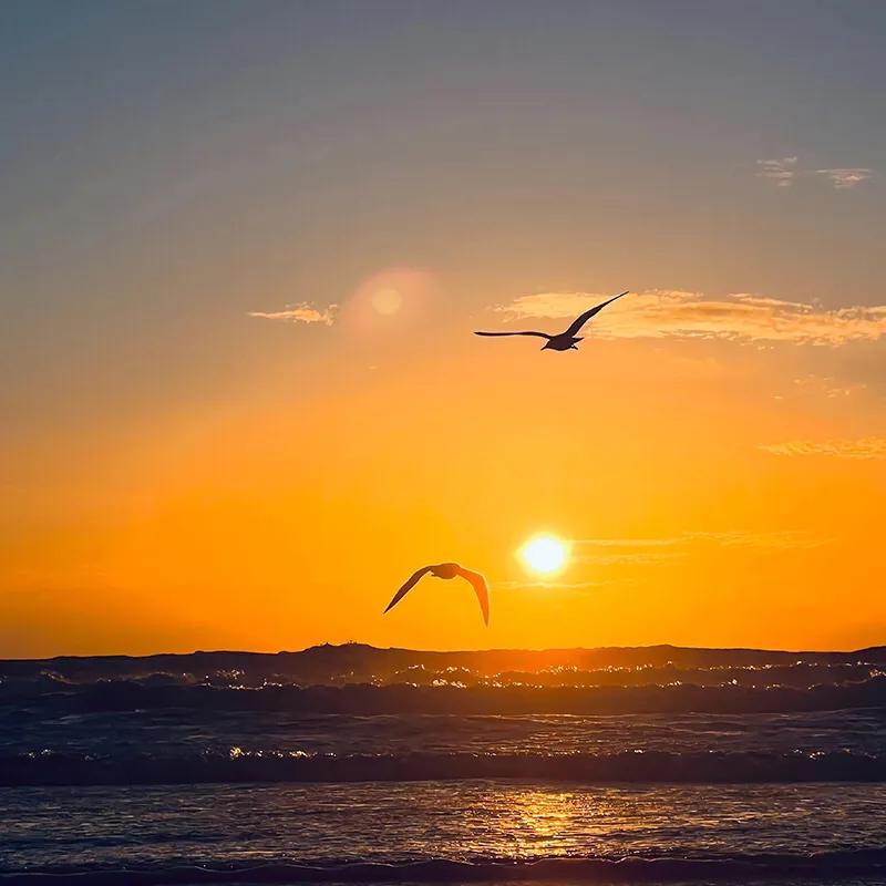 股民能搞资源到公司吗_一个股民的资源能卖多少钱_股民资源在哪里能搞到