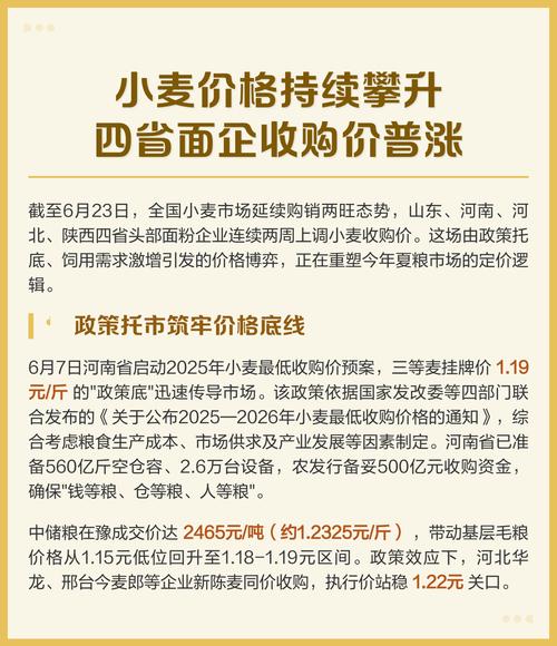 2025年小麦最低收购价每斤上涨一分_2026年小麦最低收购价政策分析_2025年粮食价格走势图