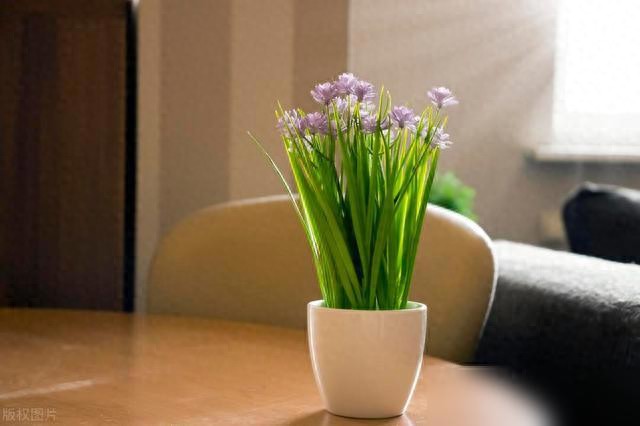 时间货币交易_生活中的货币时间价值_生命时间价值