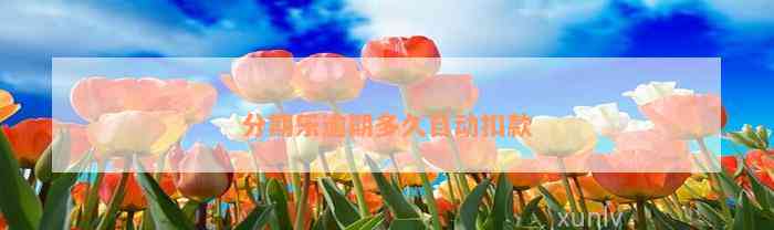 分期乐逾期多久自动扣款