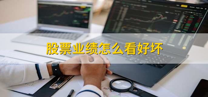 业绩好的股票有哪些_公司盈利能力分析_股票业绩评估指标