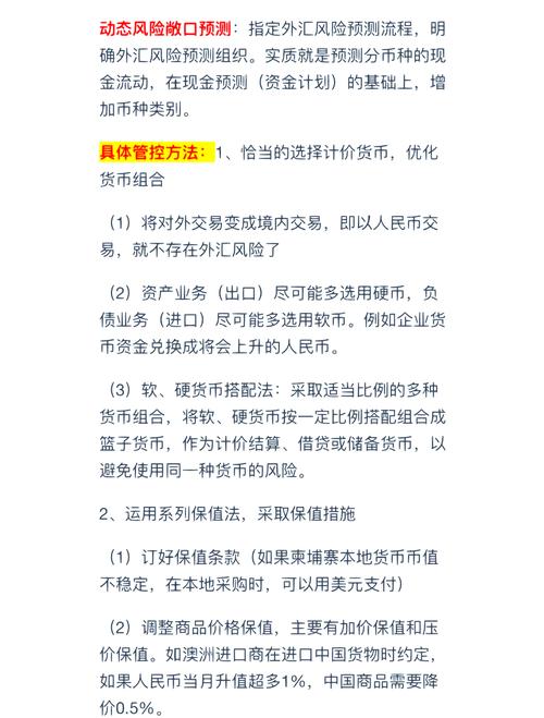 外汇风险管理的一般程序_外汇敞口管理方法_外汇风险管理策略