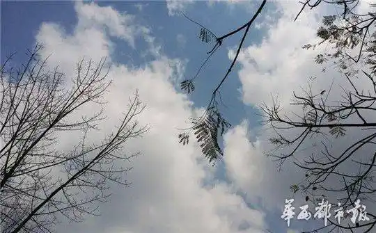 成都绿色发展_成都空气污染治理_成都市环保局官方网站