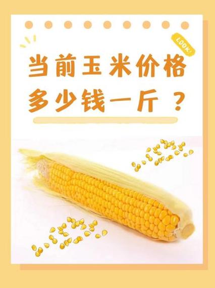 我国下半年玉米价格走势_粮食市场运行波动_粮食价格上涨预测