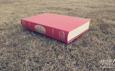 设立公司的必备条件：股东人数、出资额、章程等要求解析