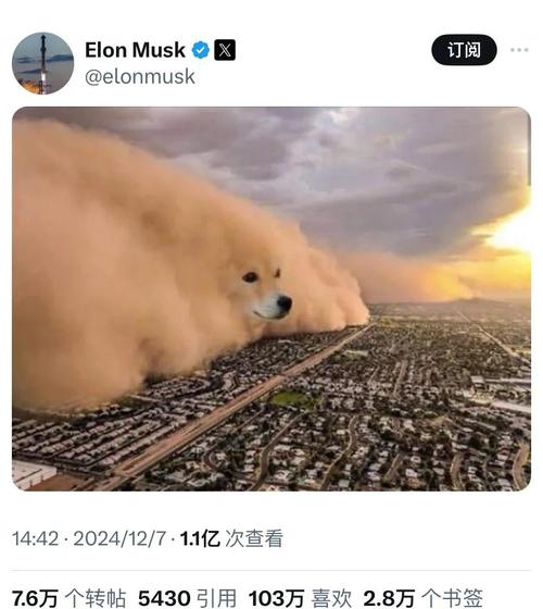 美国散户围攻狗狗币_马斯克助力狗狗币疯涨_狗狗币未来最高能涨到多少