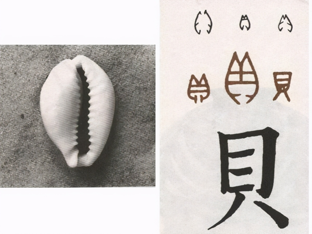 狗狗币对比特币的嘲讽_狗狗币未来达到100元_狗狗币的诞生过程