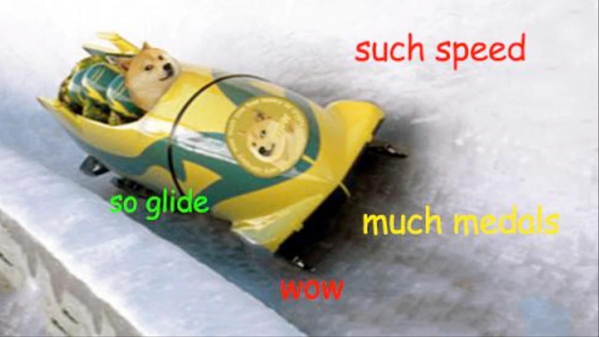 狗狗币未来达到100元_狗狗币对比特币的嘲讽_狗狗币的诞生过程