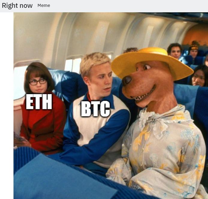 狗狗币未来达到100元_狗狗币的诞生过程_狗狗币对比特币的嘲讽