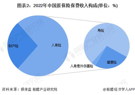 中国保险业风险评估报告2023_保险业转型攻坚期风险分析_中国保险风险分析
