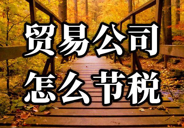 合理避税技巧_个人所得税如何合理避税_个人所得税避税方法