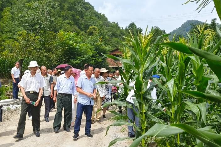 招投标行业技术流策略_非关系户中标项目分析_投标策略分析有哪些