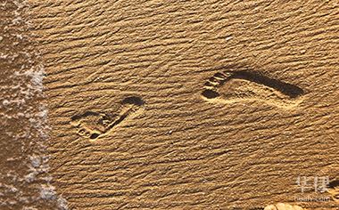 非上市公司股权转让不属于增值税征收范围及相关法律依据