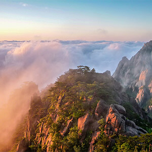 被执行标的是什么意思_失信被执行人什么意思_被执行人是什么意思