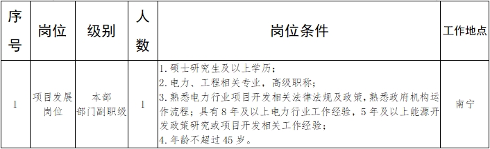 国家电投广西公司招聘，提供广阔空间与稳定薪酬福利保障