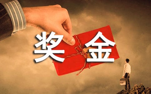 资产处置项目超额回款，申请专项奖励模板