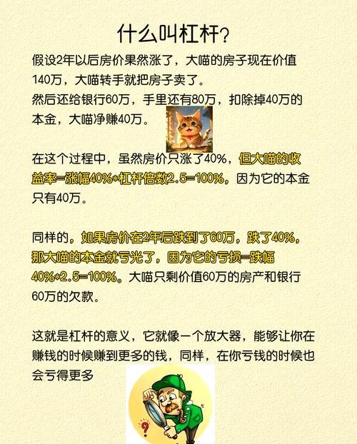 股票杠杆投资策略_股市中的杠杆是什么意思_股票杠杆风险收益