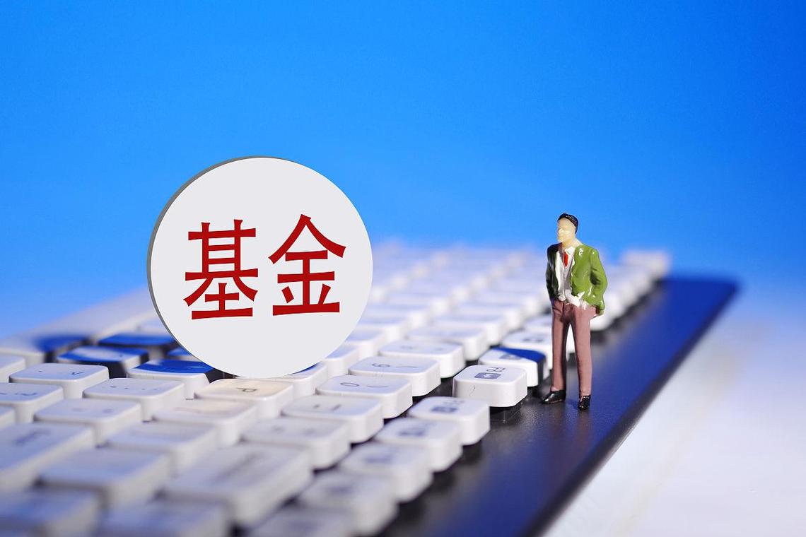 追涨杀跌羊群效应_基金投资会亏吗_基金投资避坑