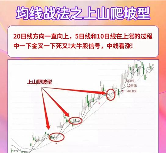 厦门合兴包装2026年报：主力资金动向与股价支撑位分析