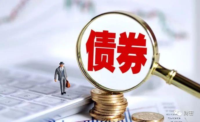 政府债券 国债 地方债_什么是地方政府债券