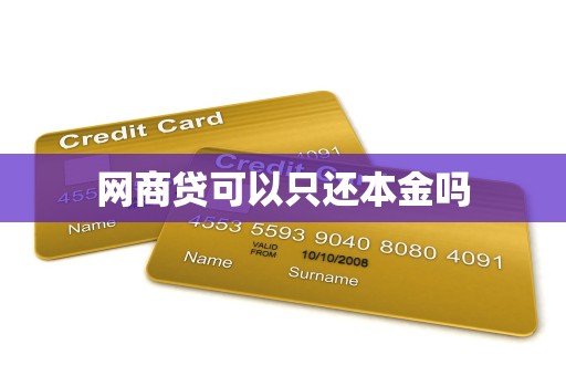 网商贷可以只还本金吗